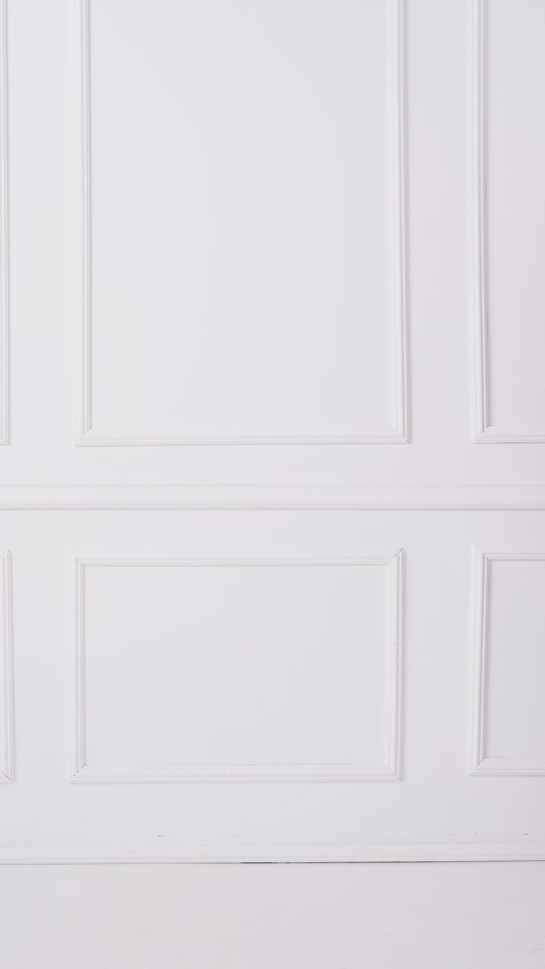 Veste réversible pour homme avec capuche renard et raton laveur